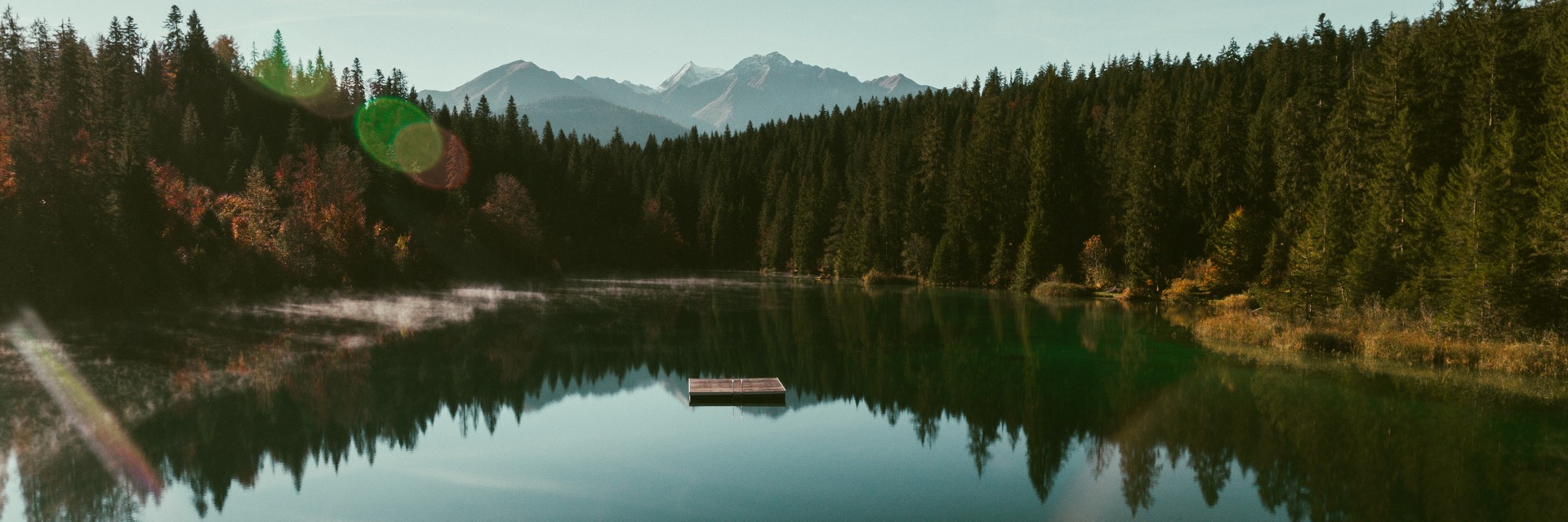 Forest and lake from above, drone